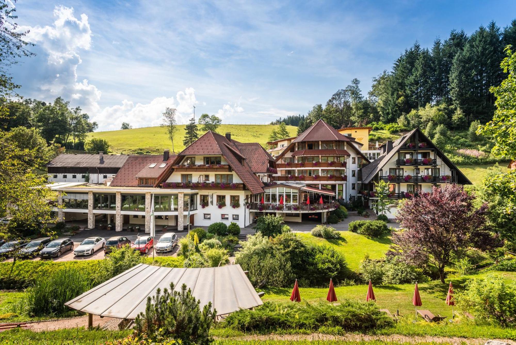 Naturparkhotel Adler Wolfach Eksteriør billede