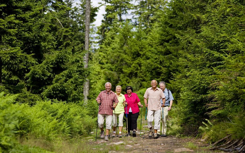 Naturparkhotel Adler Wolfach Eksteriør billede