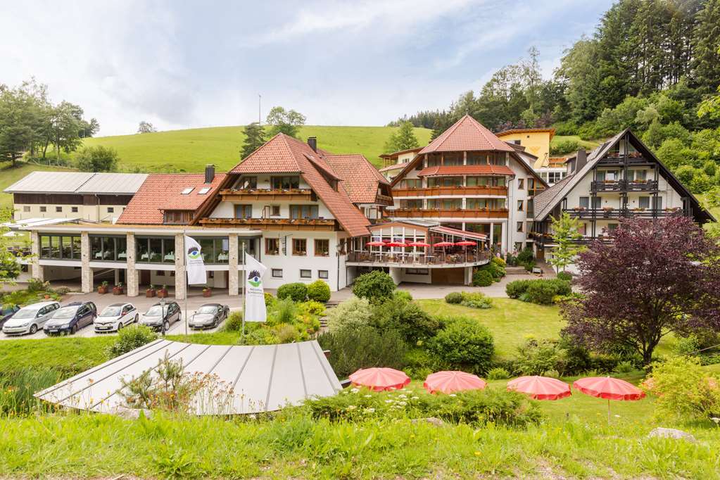 Naturparkhotel Adler Wolfach Eksteriør billede